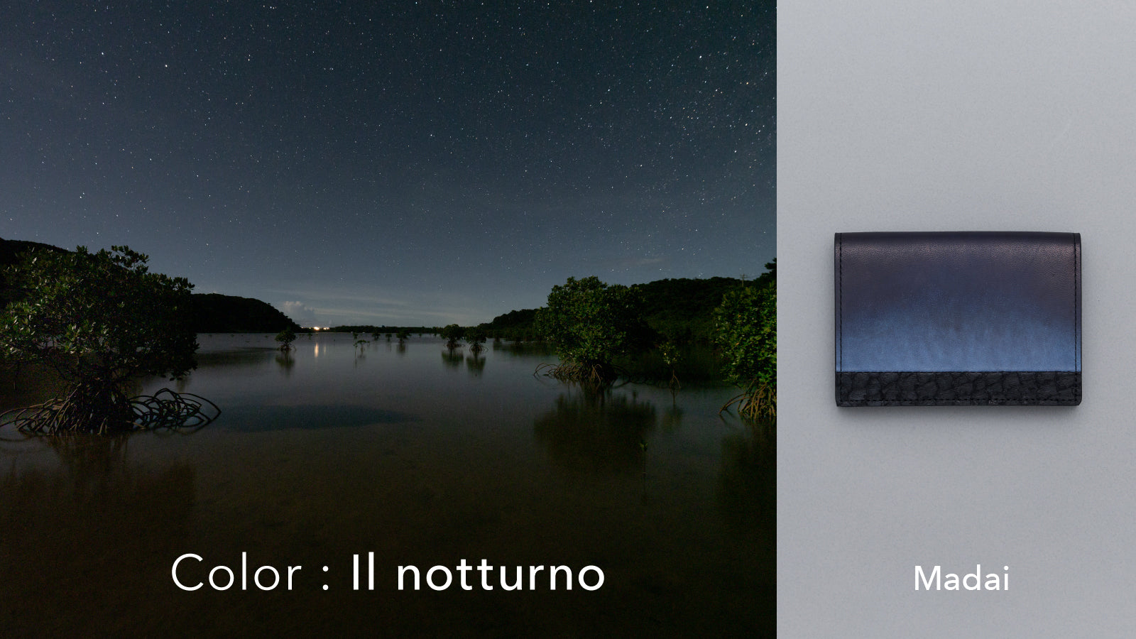 Orizzonte #02 名刺入れ