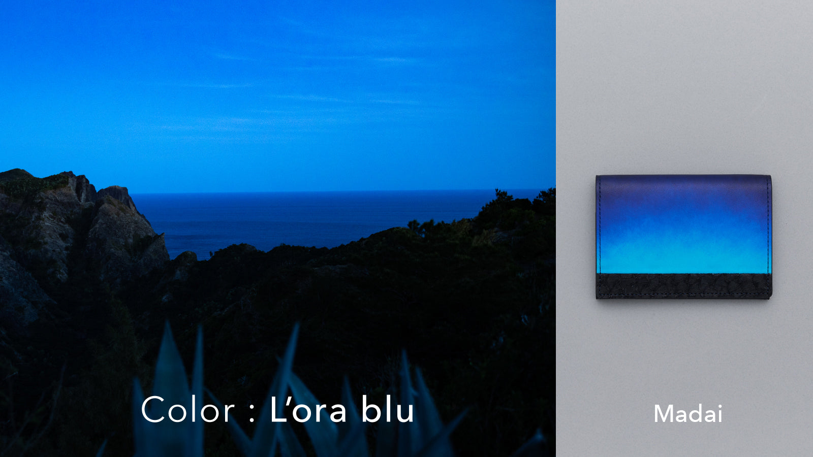 Orizzonte #02 名刺入れ