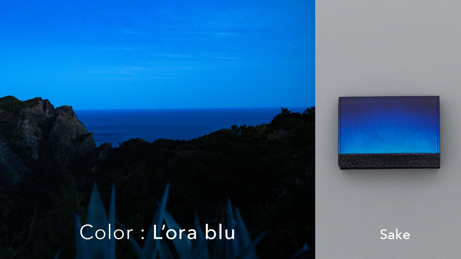 Orizzonte #02 名刺入れ