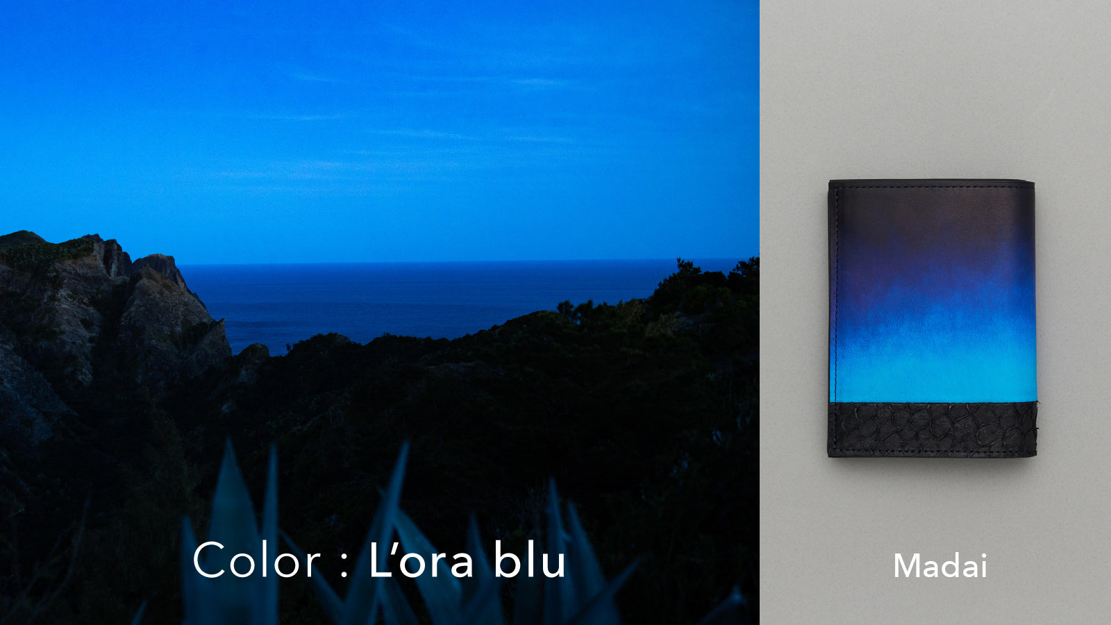 Orizzonte #03 コンパクト二つ折りギャルソンウォレット