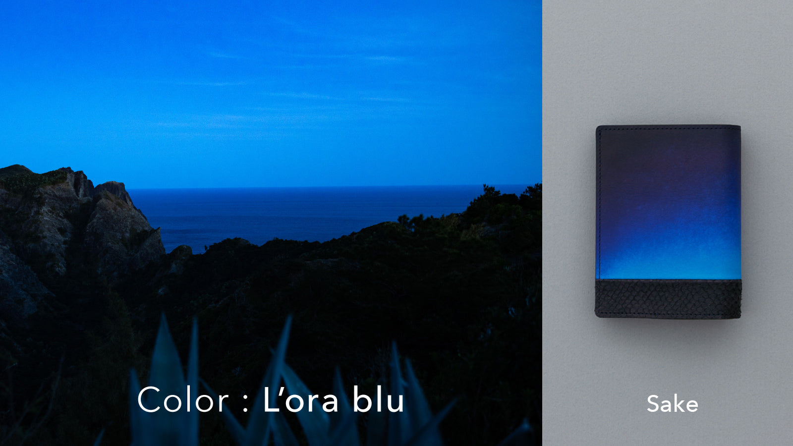 Orizzonte #03 コンパクト二つ折りギャルソンウォレット