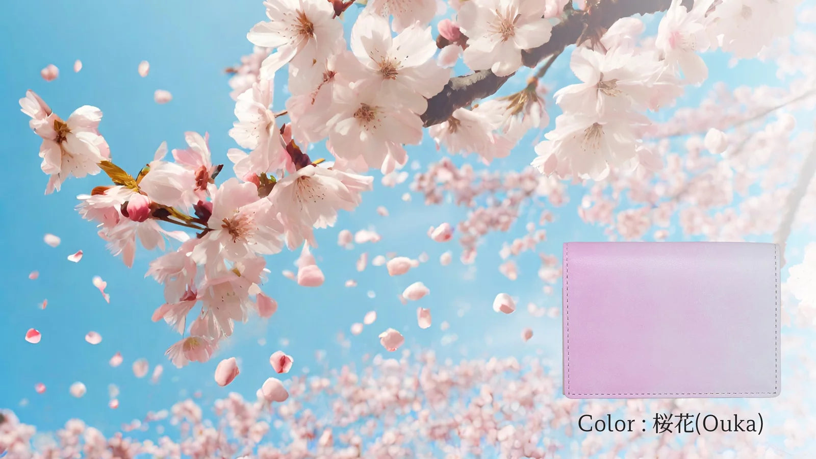 Quattro Stagioni #02 名刺入れ