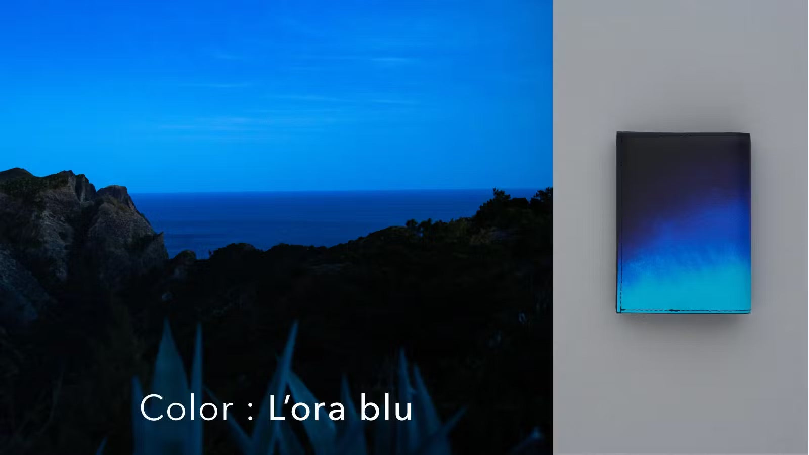 Cielo #03 コンパクト二つ折りギャルソンウォレット