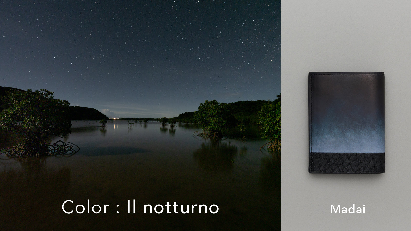 Orizzonte #03 コンパクト二つ折りギャルソンウォレット